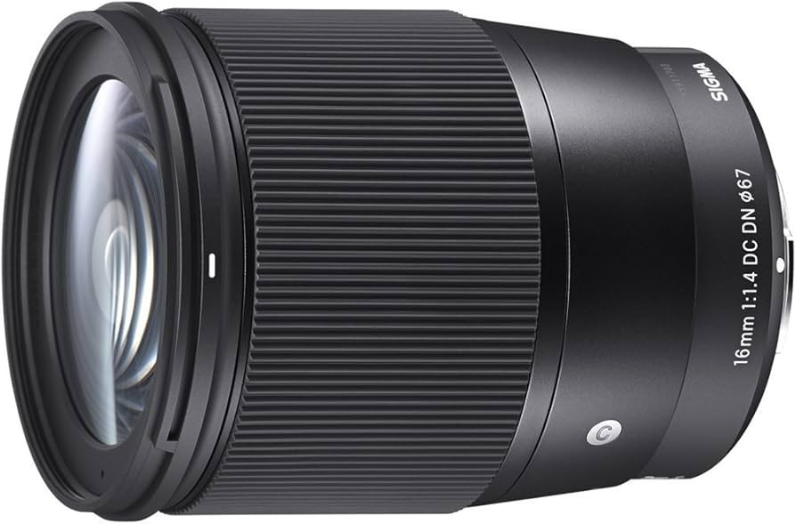 Sigma 16mm f/1.4 DC DN Contemporary Lens for Sony E (402965) | Amazon (US)