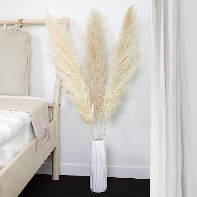 Winding Trail Supply Natural Dried Pampas Grass Decor - 3 Beige Branches (48'' Tall) - Tall Stemm... | Amazon (US)