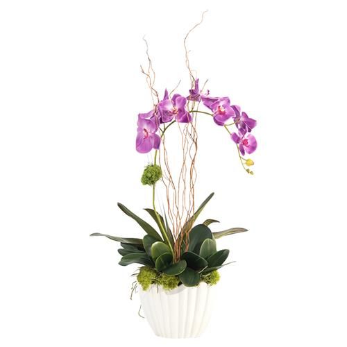 John-Richard French Country Vibrant Asian Orchid | Kathy Kuo Home
