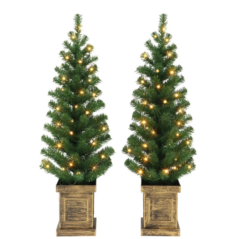 3.5' Lighted Pine Christmas Tree | Wayfair North America