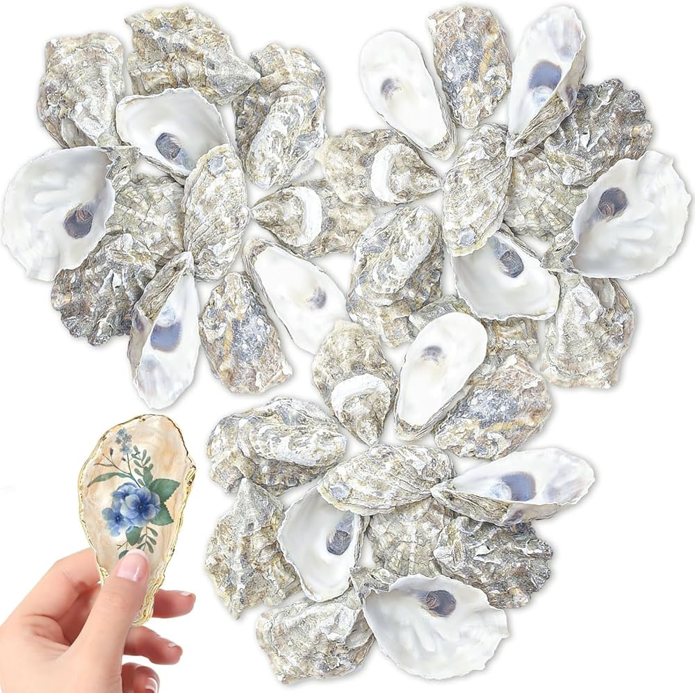36PCS Oyster Shells Bulk Oyster Shells for Home Decor Vase Filler, Ornaments, DIY Arts and Crafts... | Amazon (US)