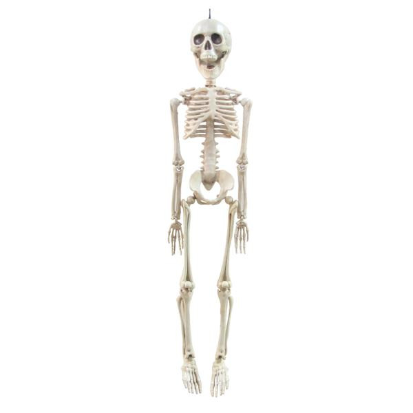 Hanging Halloween Skeleton, 20" | At Home