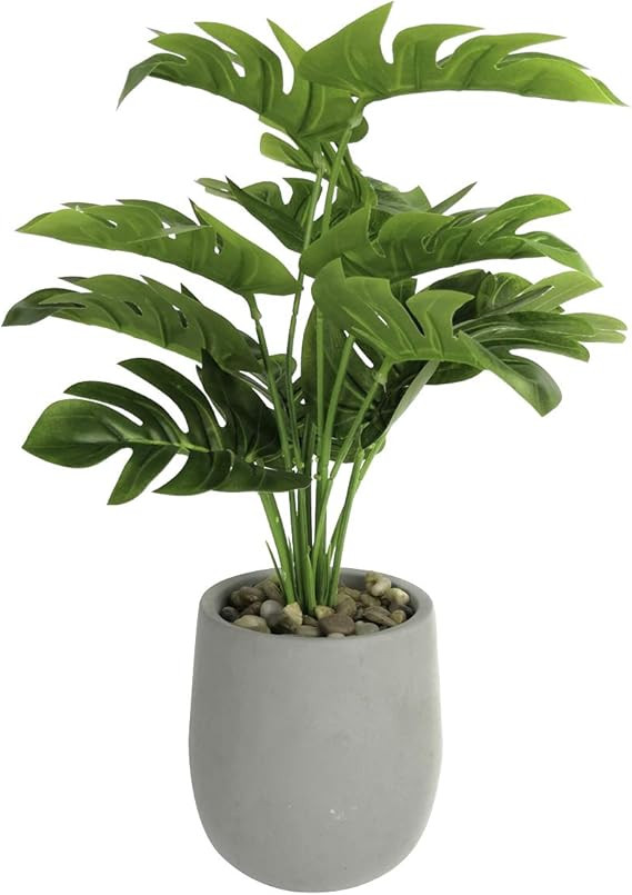Tuokor 16" Small Artificial Greenery Plants Palm Green Leaf in Cement Pots for Indoor Outdoor Fak... | Amazon (US)
