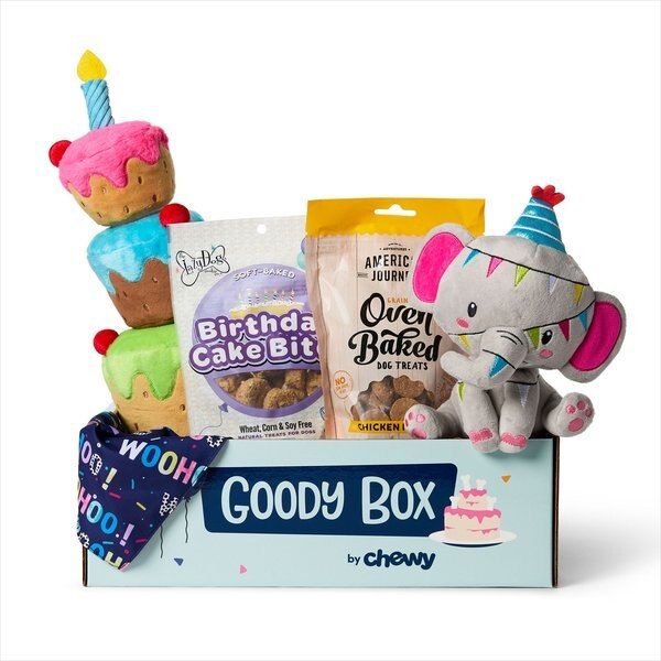 GOODY BOX Birthday Dog Toys, Treats, & Bandana, Medium/Large - Chewy.com | Chewy.com