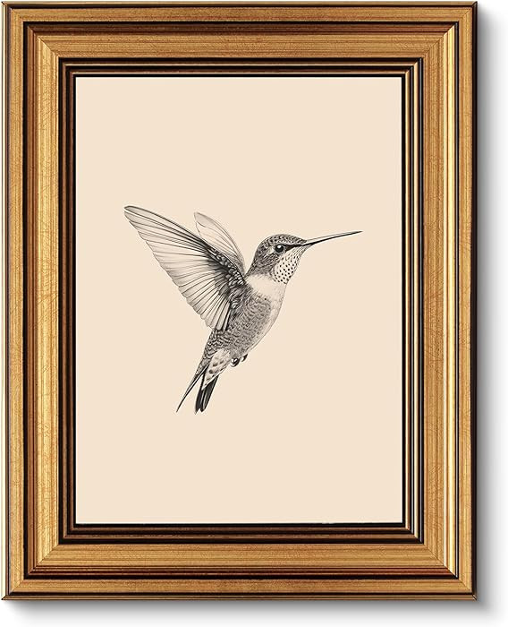 VIYYIEA Vintage Gold Framed Wall Art for Living Room, Birds Canvas Prints Home Decor, Sketch Pain... | Amazon (US)