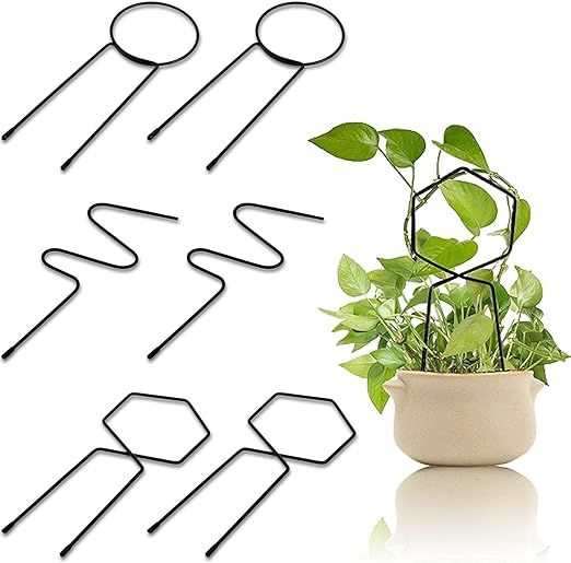 DEAYOU 6-Pack Trellis for Potted Plants, Small Metal Trellis, Mini Plant Climbing Support Garden ... | Amazon (US)