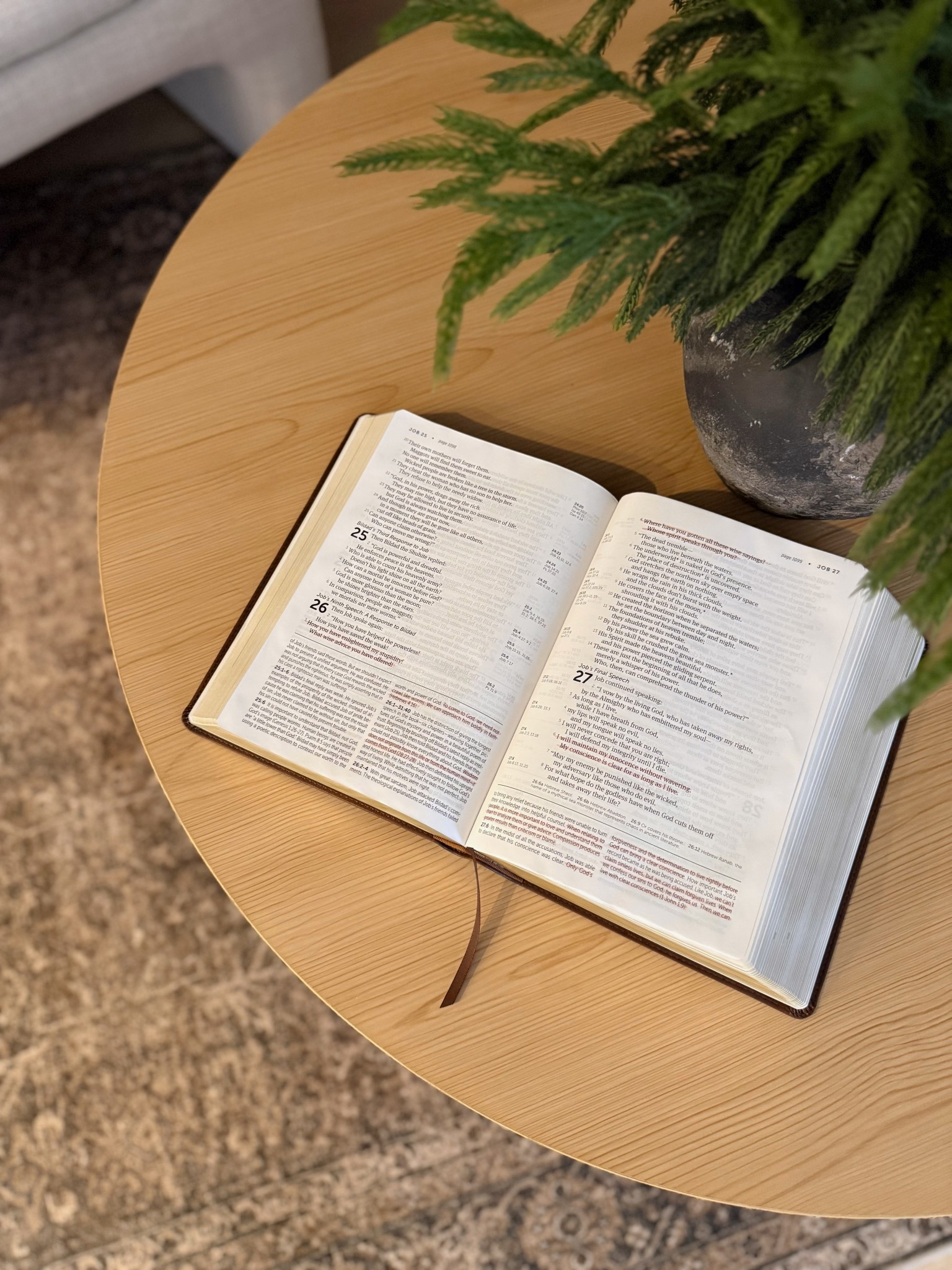 Life application study bible I’m loving! 

Bible | daily devotion | family | God life | study bible | gifts

#LTKmorningroutine #LTKdayinmylife