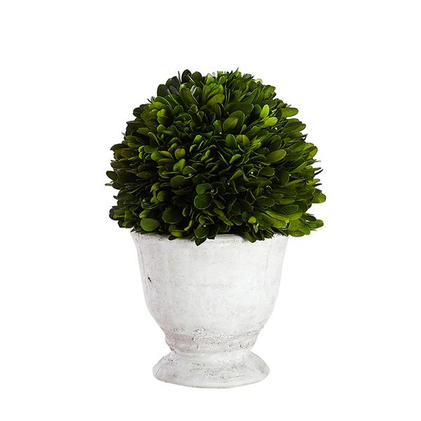 Large Single Boxwood Topiary | Caitlin Wilson Design