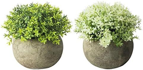 THE BLOOM TIMES 2 Pcs Fake Plant for Bathroom/Home Office Decor, Small Artificial Faux Greenery f... | Amazon (US)