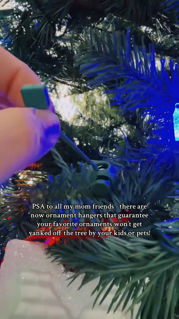 Ornament Anchors

#LTKSeasonal #LTKFindsUnder50 #LTKFamily