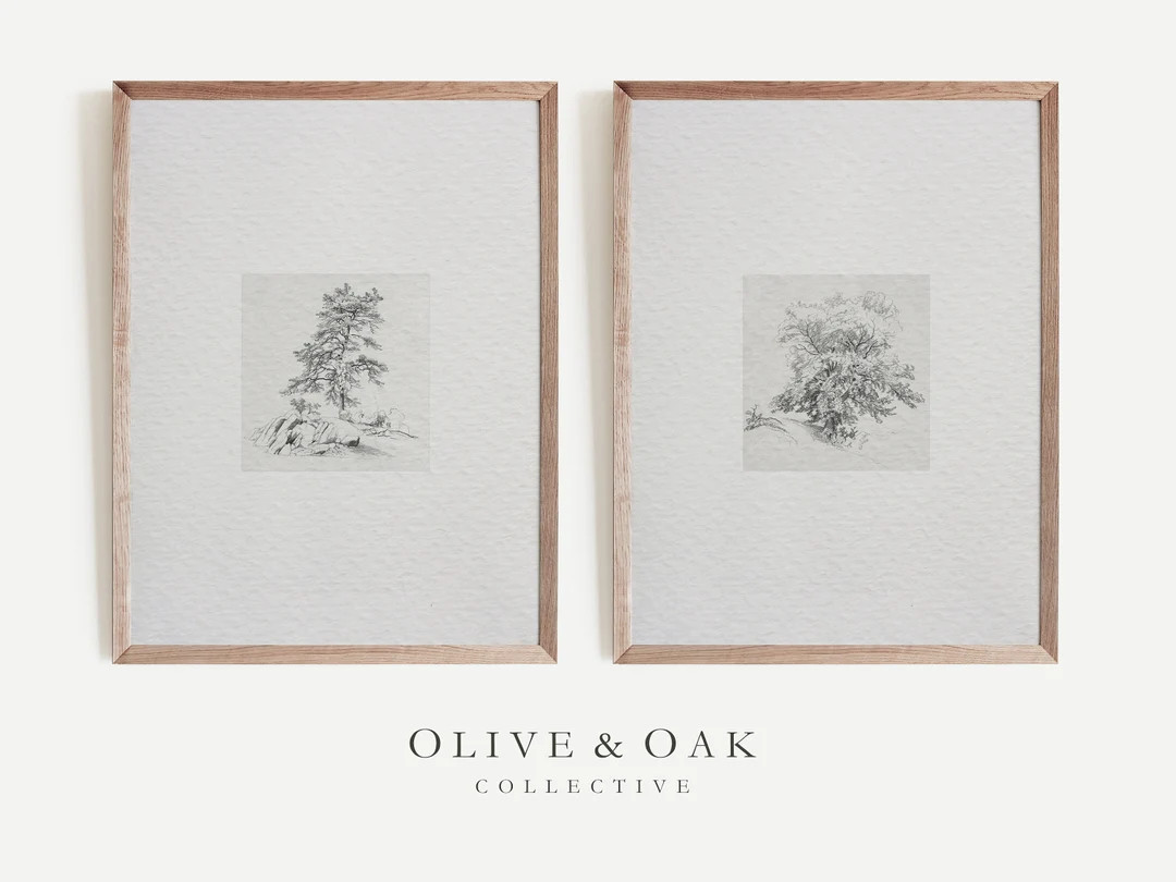 Vintage Sketch Print SET / Tree Study Drawings / Two Trees - Etsy | Etsy (US)