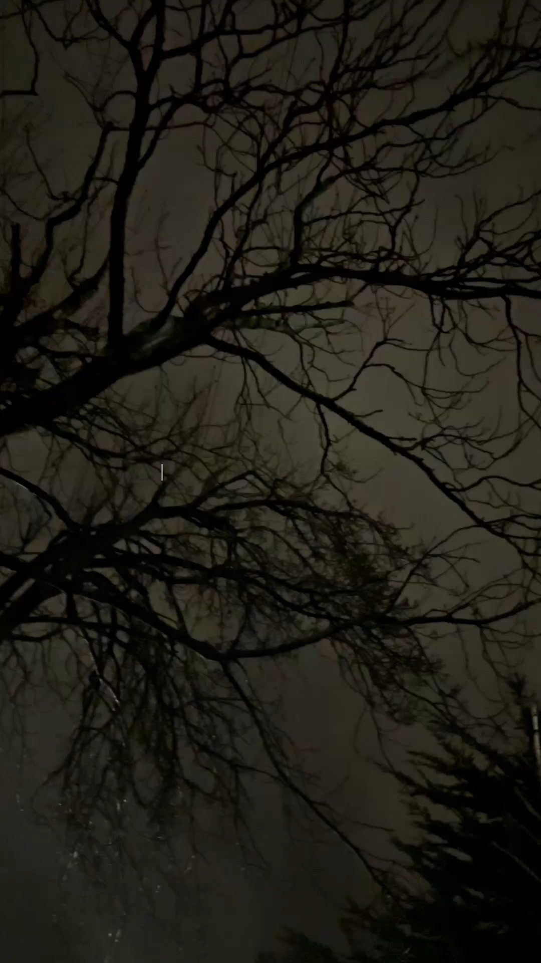 gloomy days & marinated hair 🌧️🕯️📖🌙

#LTKuk #LTKhome #LTKbeauty