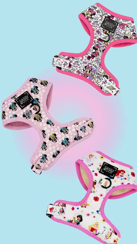 Disney princess Disney character dog harnesses on sale 

#LTKfamily #LTKfindsunder50 #LTKSpringSale