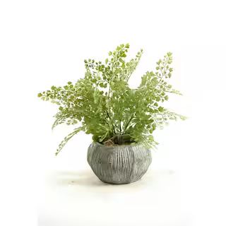 D&W Silks Indoor Flat Iron Fern in Concrete Bowl-156036 - The Home Depot | The Home Depot