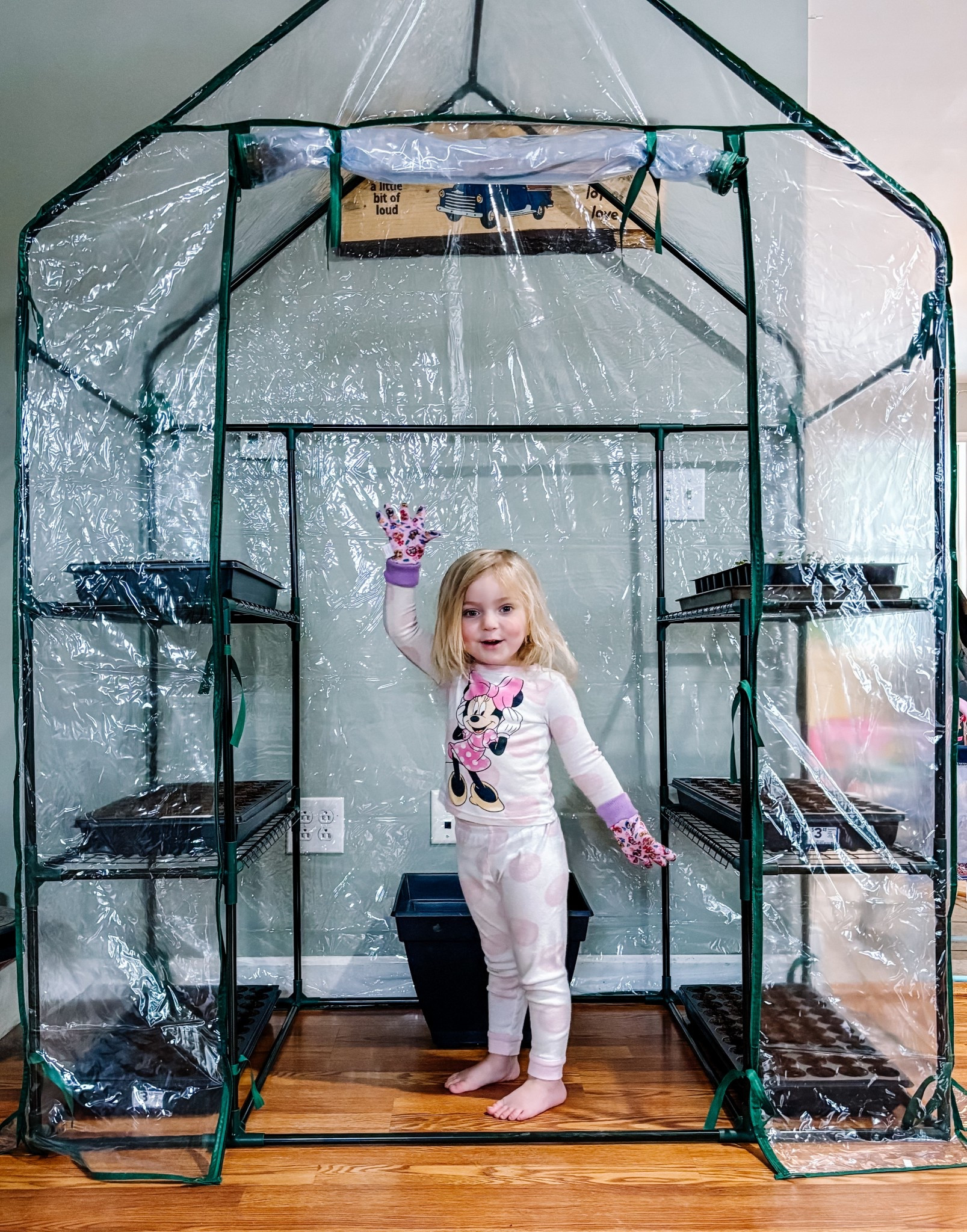 It’s still full blown winter here in upstate NY, so getting a greenhouse going outside isn’t ideal. We found this super cute little greenhouse that we set up right in our living room to get our trays of veggies going. Simple and quick to put together PLUS affordable which is 👌🏻 our big honey is loving helping out. 

#LTKKids #LTKHome #LTKFamily