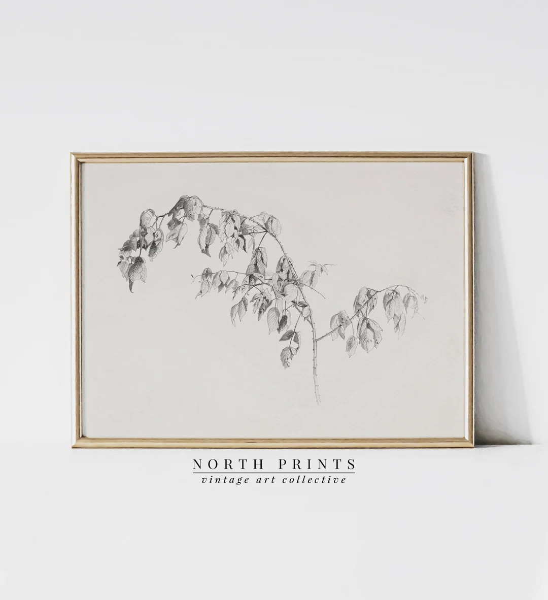 Simple Botanical Sketch | Neutral Minimalist Wall Art | Vintage Drawing | PRINTABLE Digital SK-14... | Etsy (US)