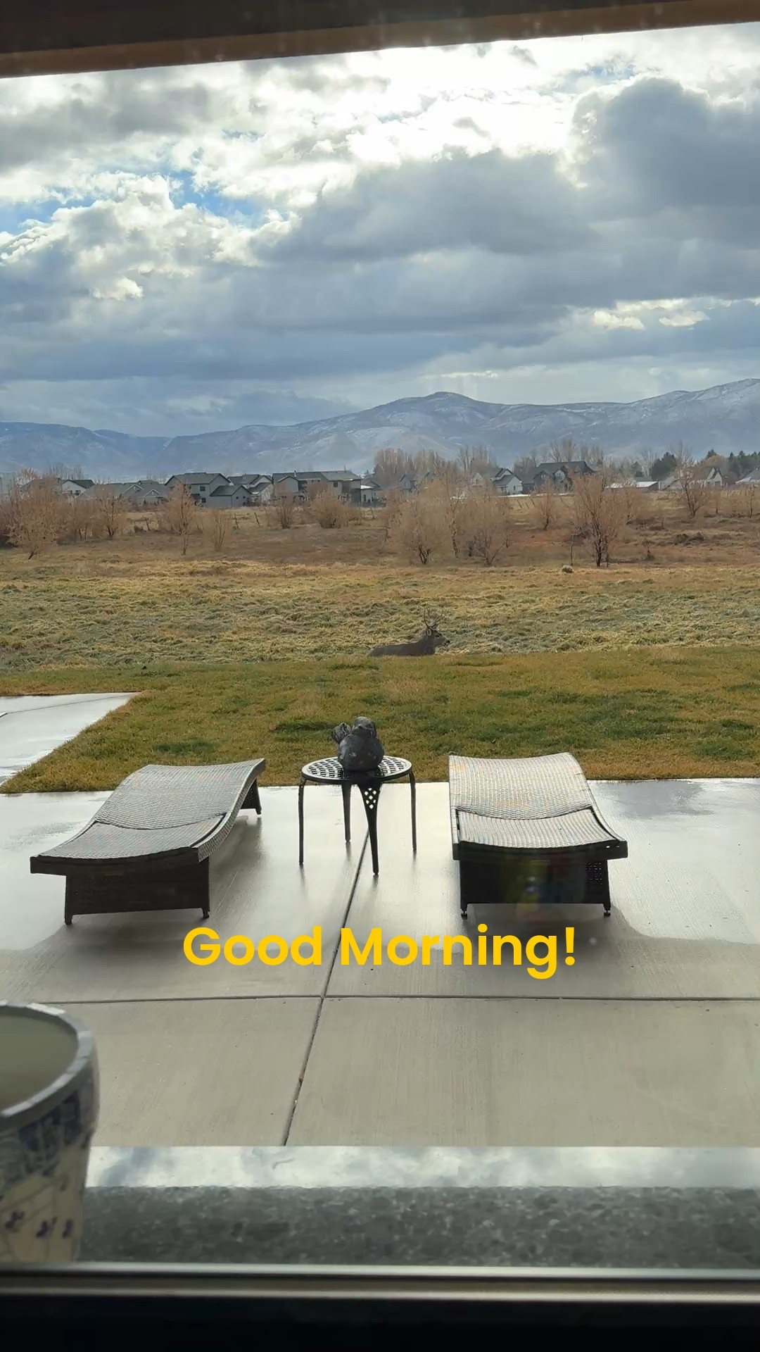 This handsome fellow joined me this morning. I love where I live


#LTKdayinmylife