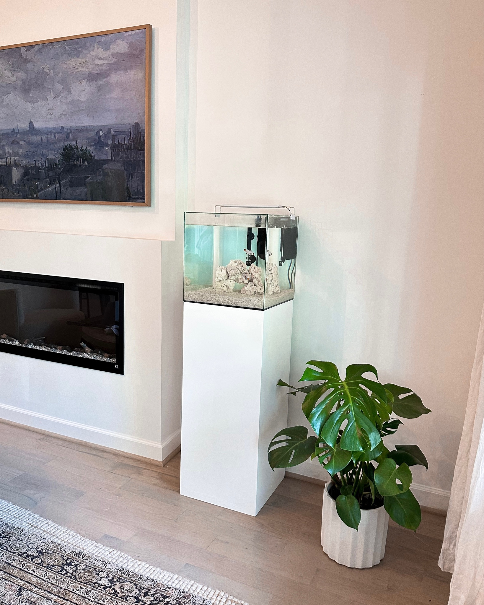 Salt water fish tank 