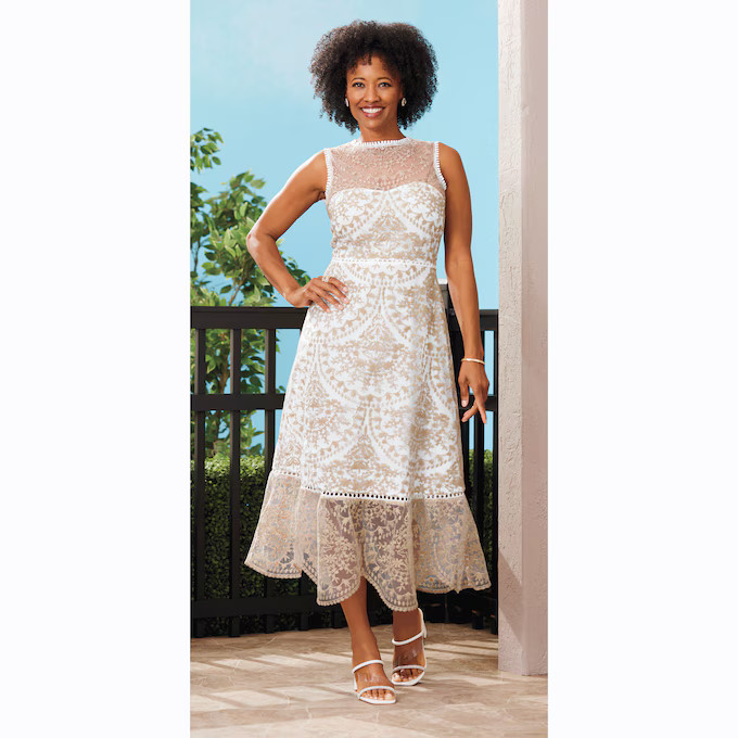 Embroidered Lace a Line Dress | Ashro