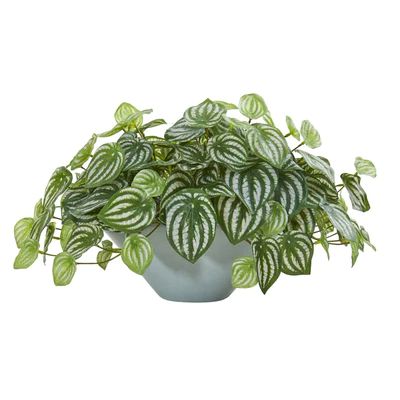 19” Watermelon Peperomia Artificial Plant in Green Vase (Real Touch) | Nearly Natural