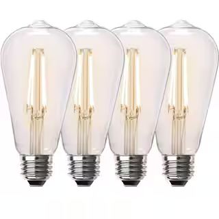 Feit Electric 60-Watt Equivalent ST19 Dimmable Straight Filament Clear Glass E26 Vintage Edison L... | The Home Depot