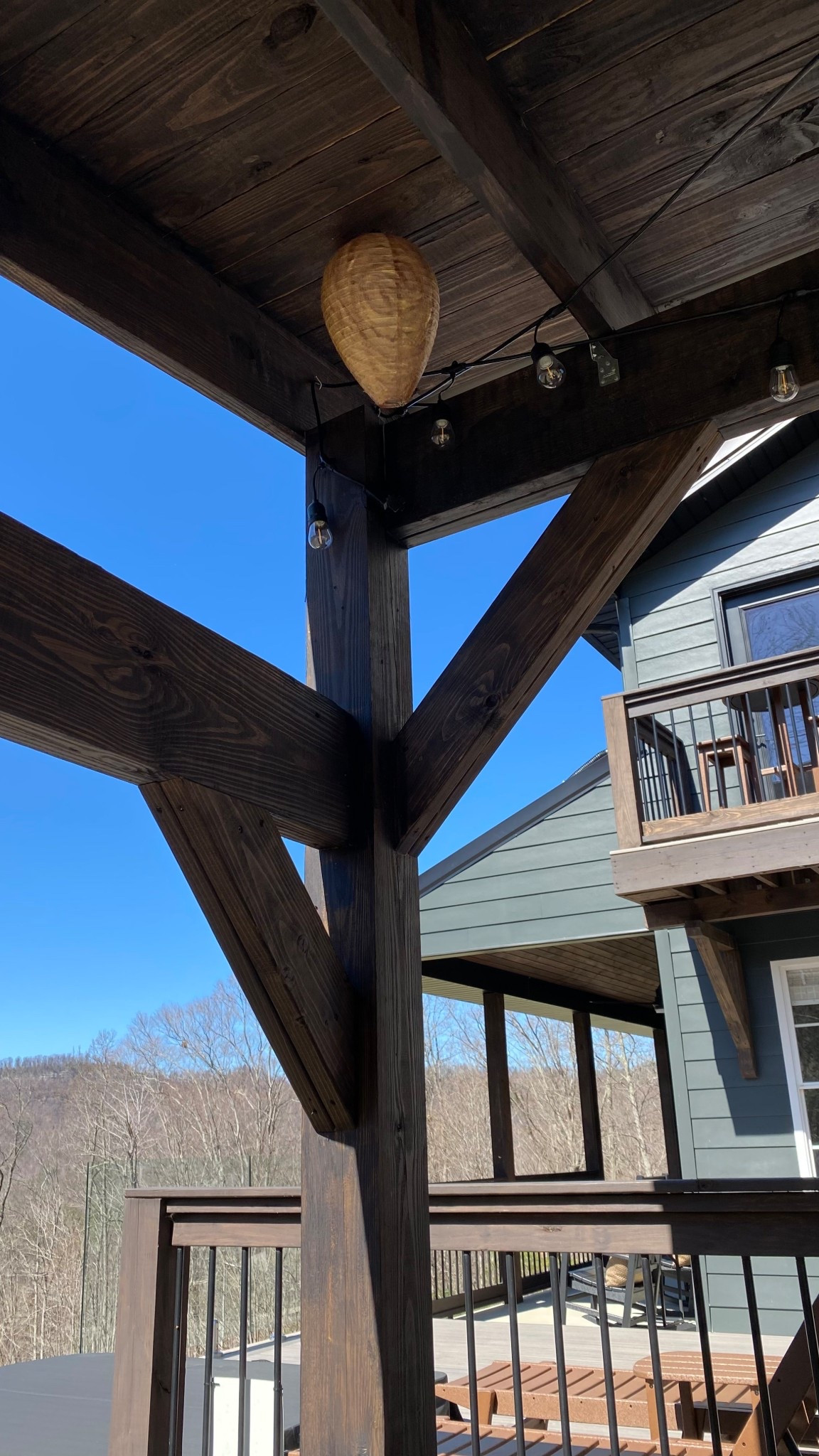 Everyone’s welcome to Bent Tree Lodge…except the wasps. 🐝 #waspdecoy 

#LTKdayinmylife #LTKSpringSale #LTKSeasonal