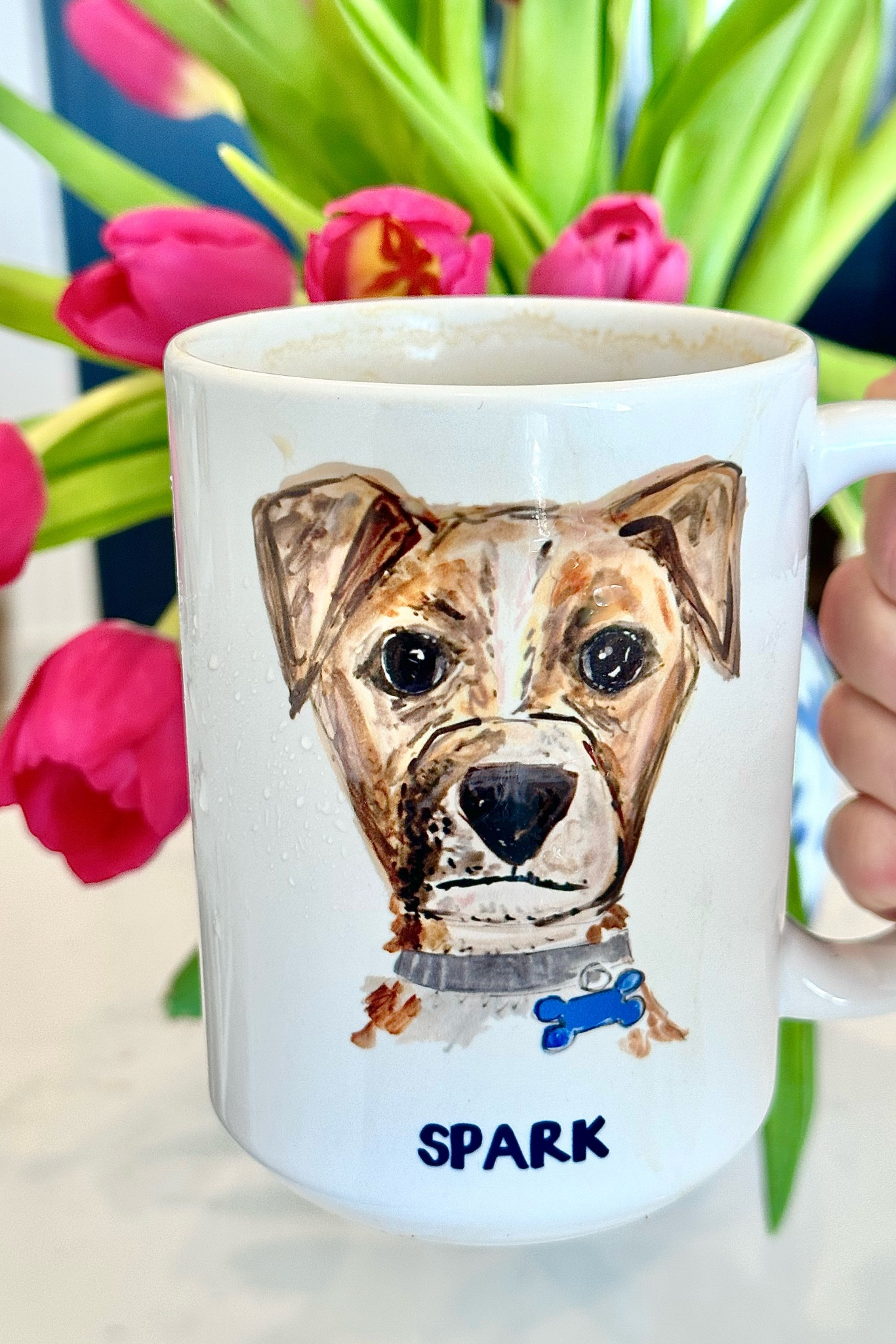 Pet mug - such an easy yet thoughtful gift 

#LTKHoliday #LTKhome #LTKfindsunder50