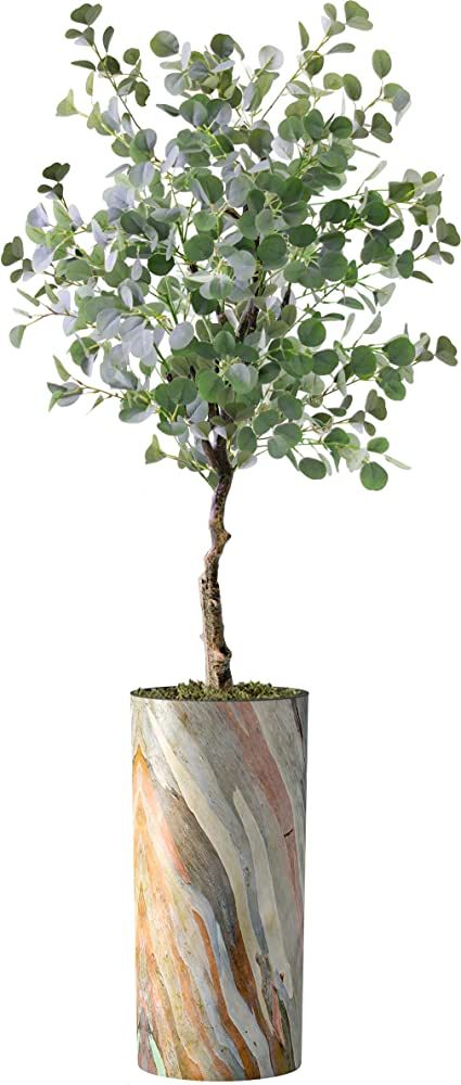 Artificial Tree in Modern Contemporary Planter, Fake Eucalyptus Silk Tree for Indoor and Outdoor ... | Amazon (US)