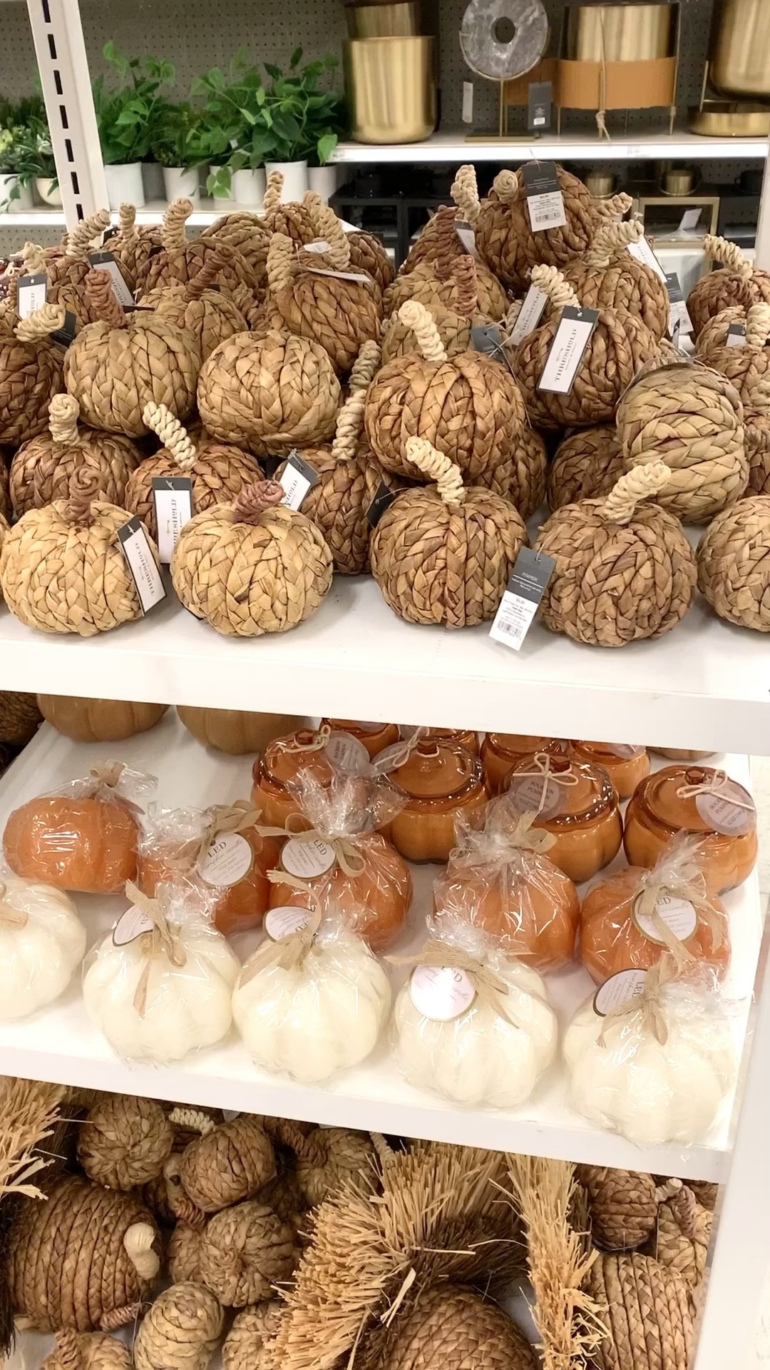 If you love to decorate with pumpkins, this is your sign to add one of these cuties to your home!

Fall decor, home decor, pumpkins, woven pumpkins 

#LTKSale #LTKSeasonal #LTKhome