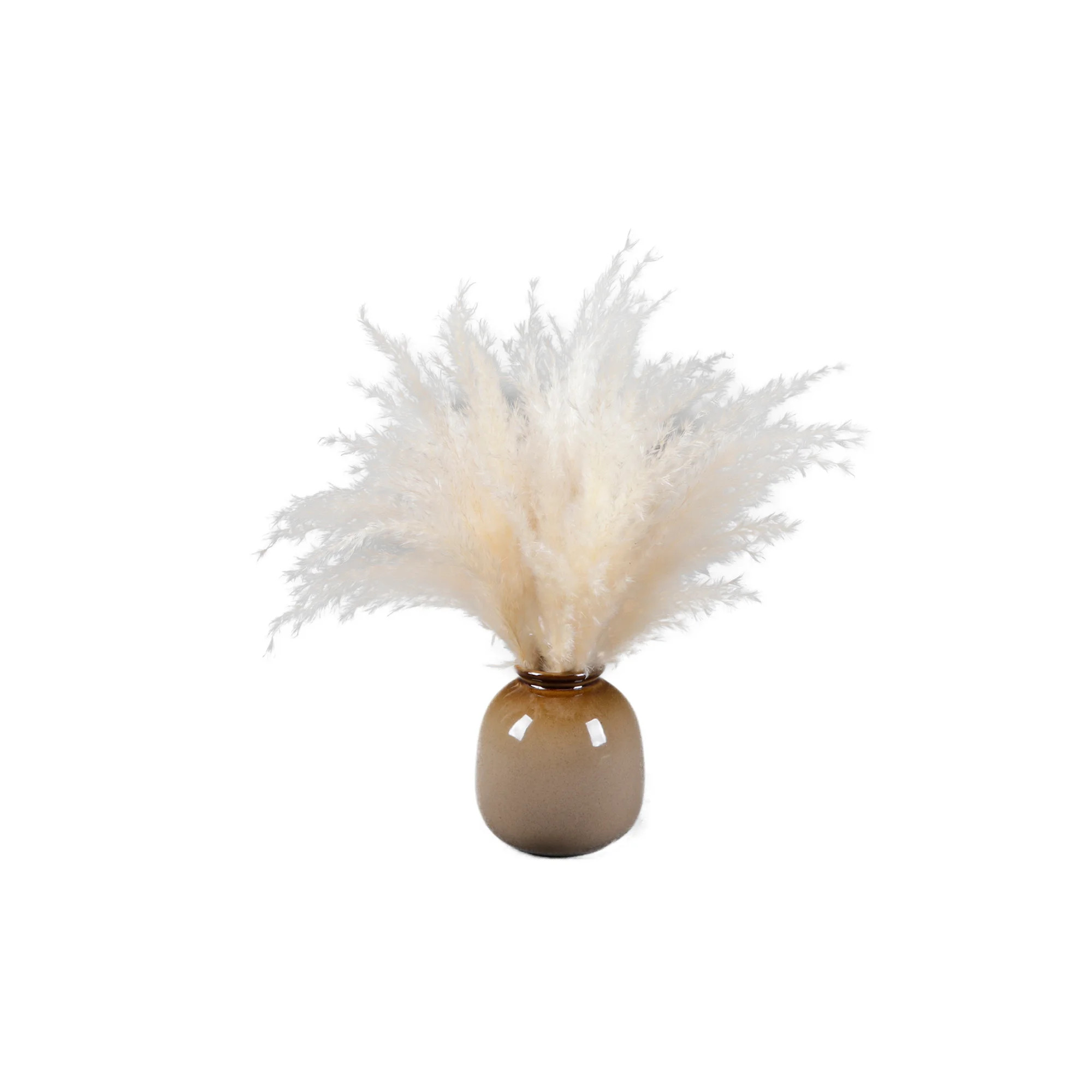 Home Decor Collection 16.5 " Pampas Dried Grass in Brown Ceramic Vase Made for Tabletops- 2 lbs | Walmart (US)