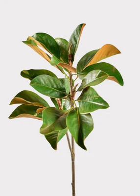 SAVE - Faux Magnolia Leaf Branch - 41" | Afloral