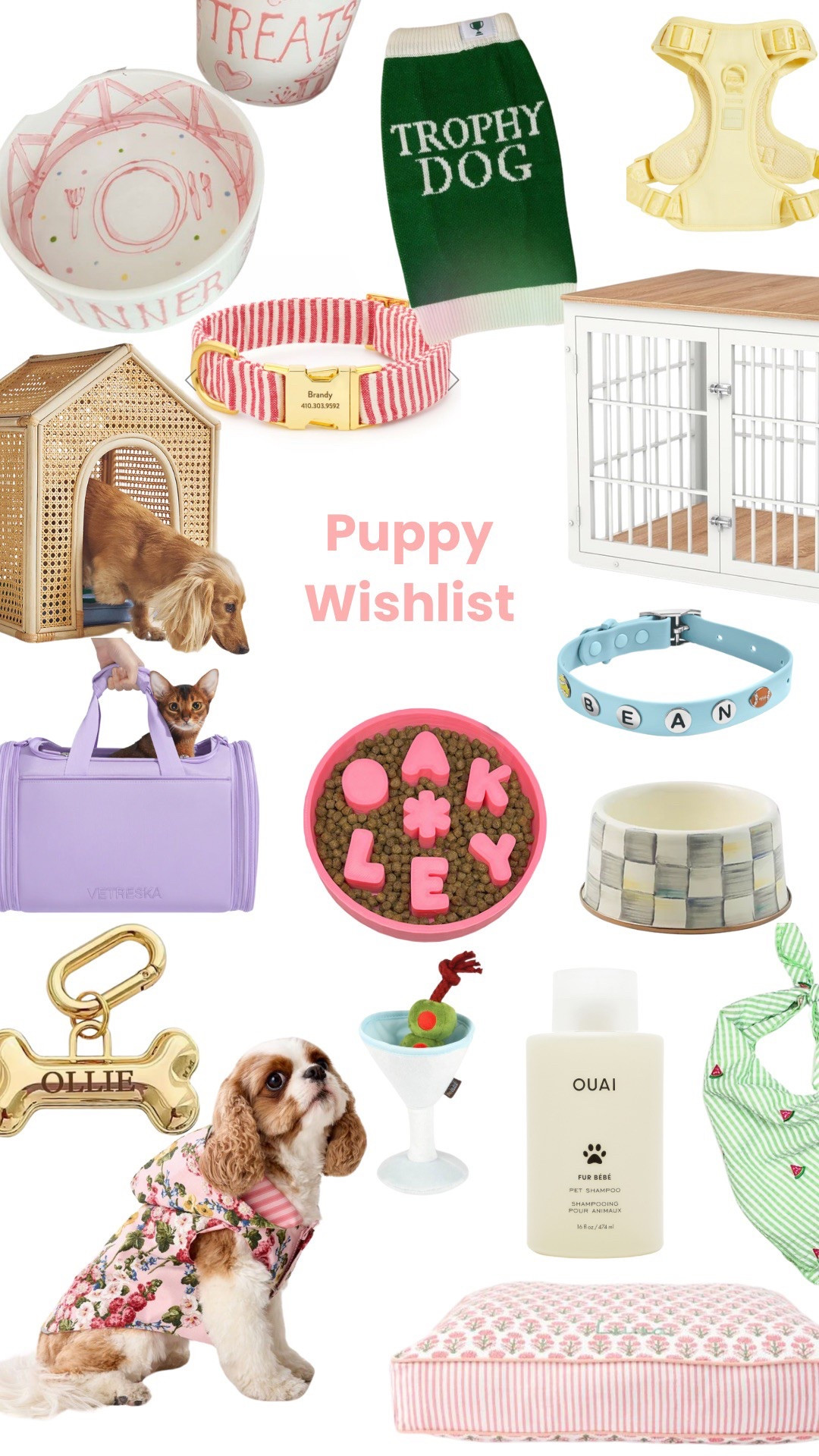 Everything on my current wishlist for my dog!#LTKGiftGuide

#LTKPets #LTKHome