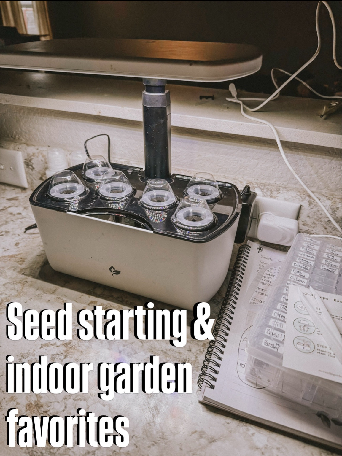 Indoor garden favorites 