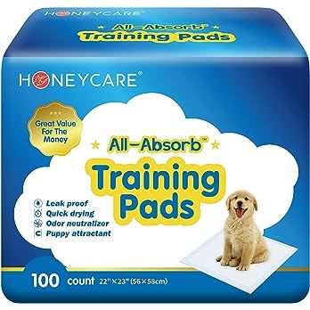 Amazon.com: HONEY CARE All-Absorb, Large 22" x 23", 100 Count, Dog and Puppy Training Pads, Ultra... | Amazon (US)