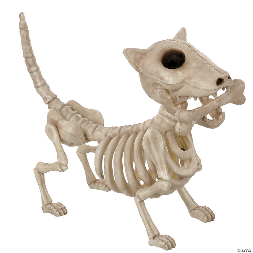 11" Digger The Skeleton Dog Decoration | Oriental Trading Company