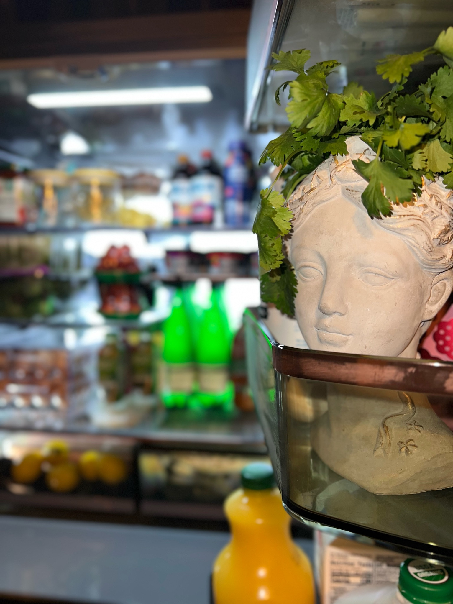 Fridge goals🇬🇷🥬🥒🥛

#LTKHome #LTKU #LTKFindsUnder50