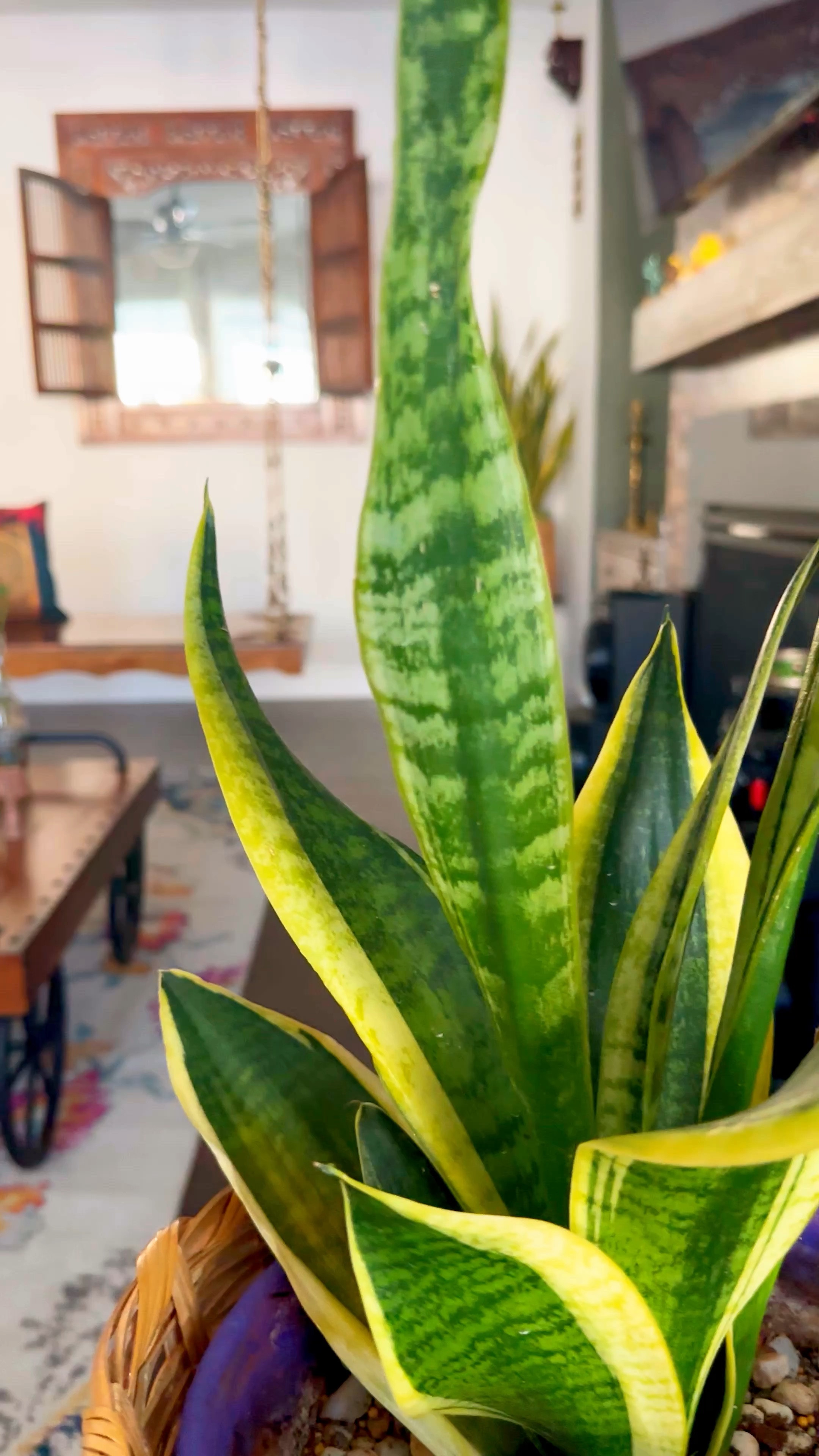 Living roomm

#LTKhome #LTKMostLoved #LTKAsia