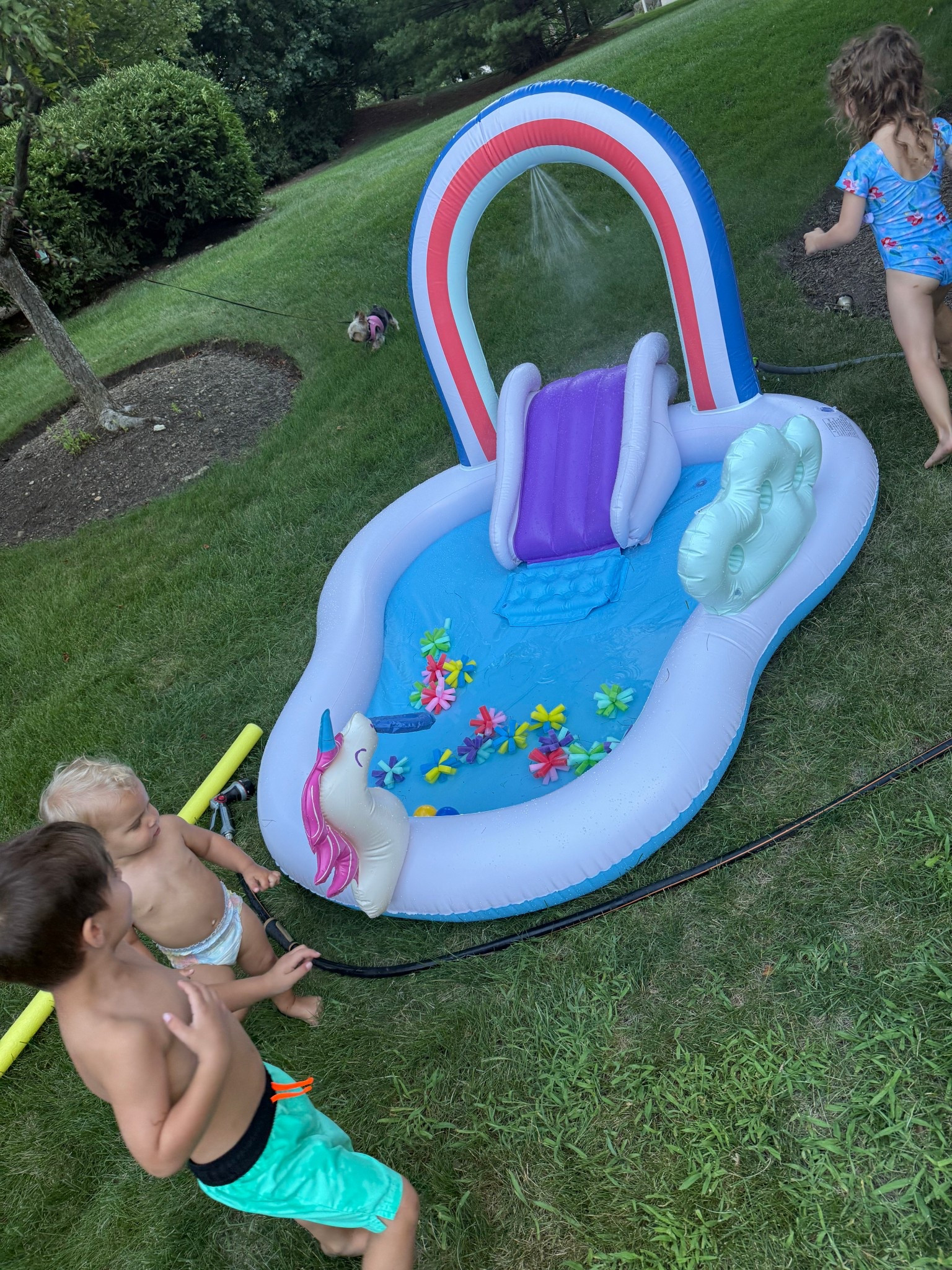 Best little pool and slide for some toddler summer fun!

#LTKSwim #LTKSeasonal