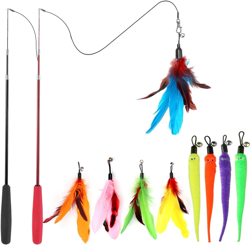 Interactive Cat Toys - Retractable Wand Toy and Feather Toys Refills for Indoor Cats to Chase and... | Amazon (US)