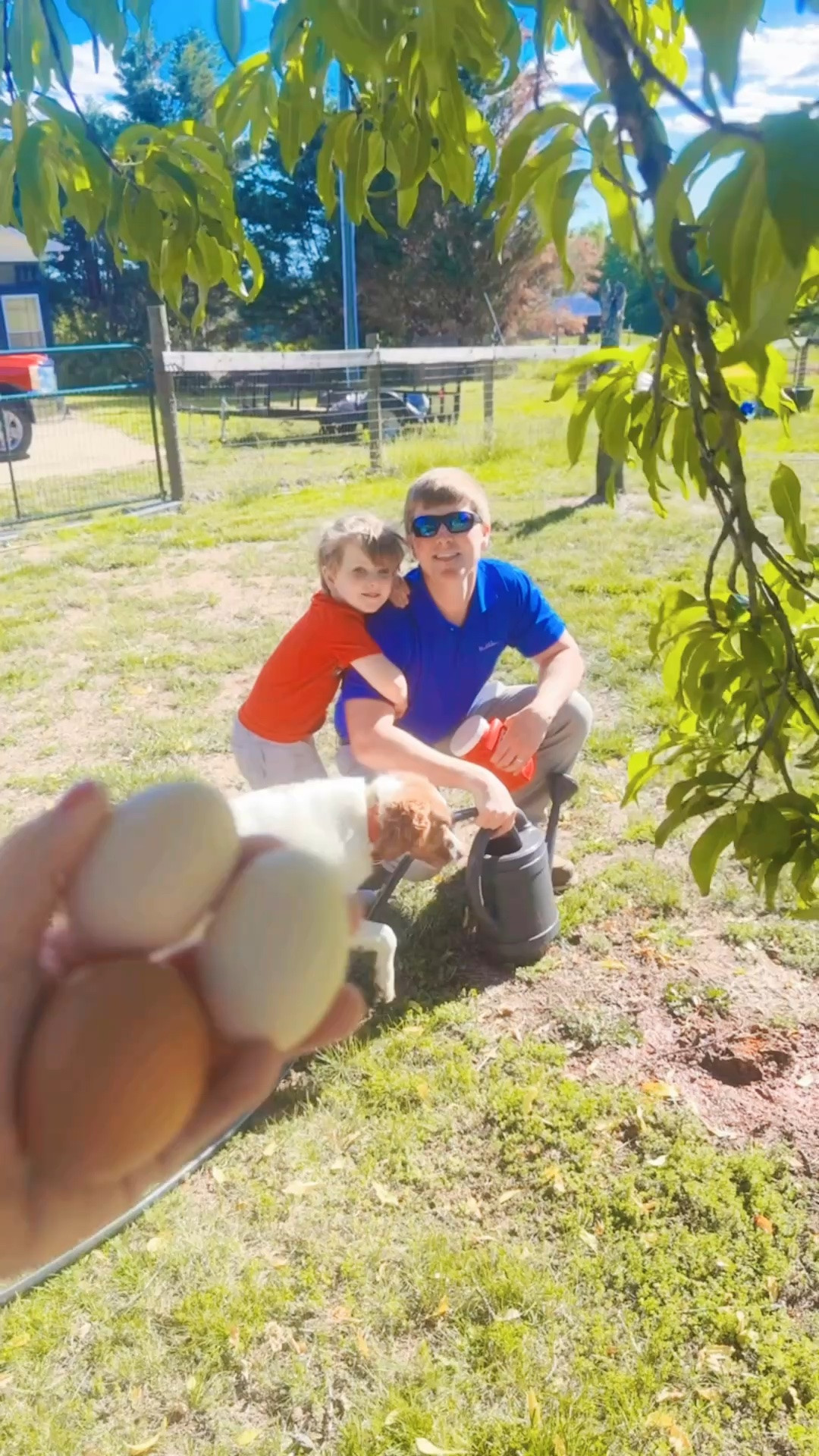 that feeling when you have two (!!) new laying hens 🐓🥚 - and they are the cutest little tan color!!! 🤭😍 Rainbow 🌈 egg carton… here we come!!! can’t wait to see when some of our other girlies lay their greenish, pink, and blue eggs; too!!! 🙌🏽