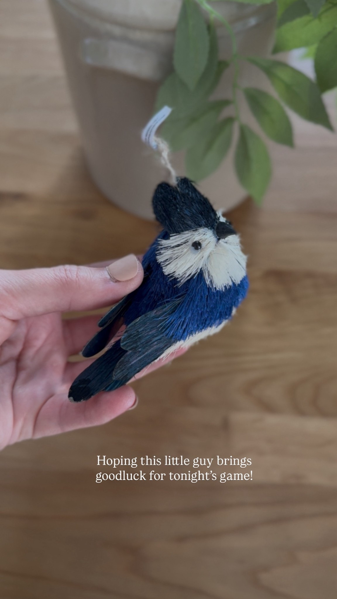 LET’S GO BLUE JAYS!!! 

#LTKcanada #LTKwinter #LTKhome