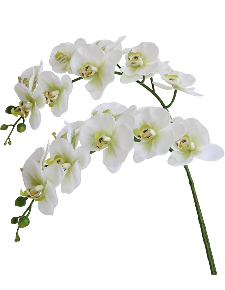 38 Inch Artificial (Not Silk) Orchids Flowers Pack of 2 (Green White) 

#LTKHome #LTKFindsUnder50