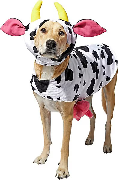 Frisco Happy Cow Dog & Cat Costume | Chewy.com