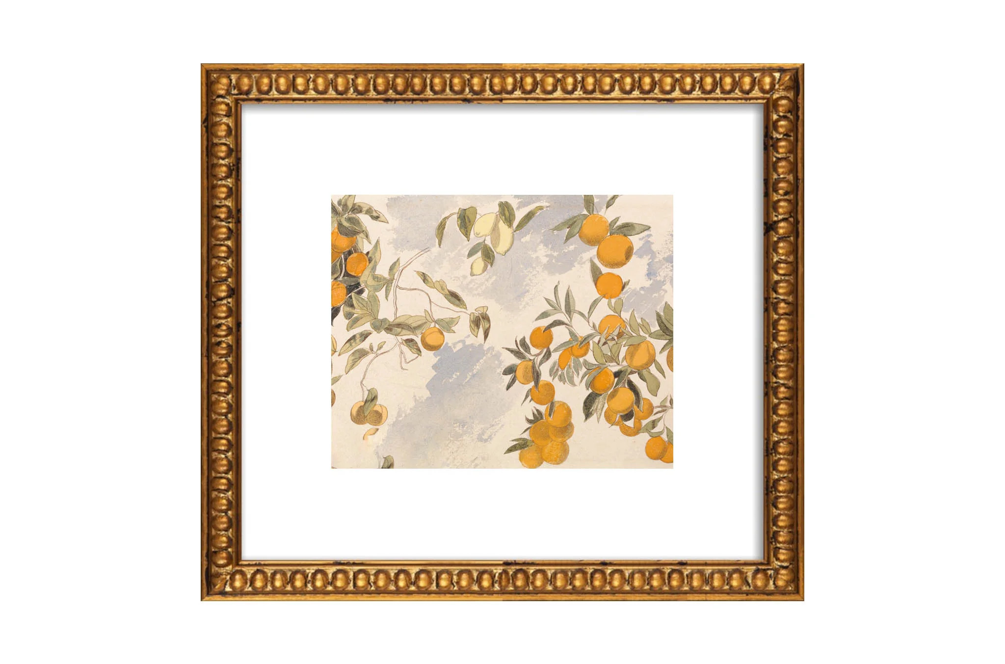 Clementines | North and Finch