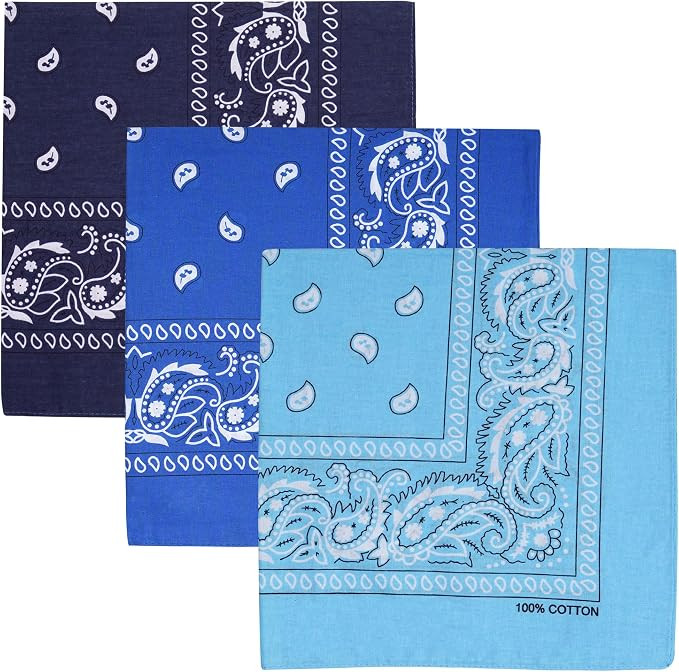 Raylarnia 100% Cotton Bandanas for Men Women, 22" Multi-Color Scarf 3 PCS | 22 Inch Paisley Banda... | Amazon (US)