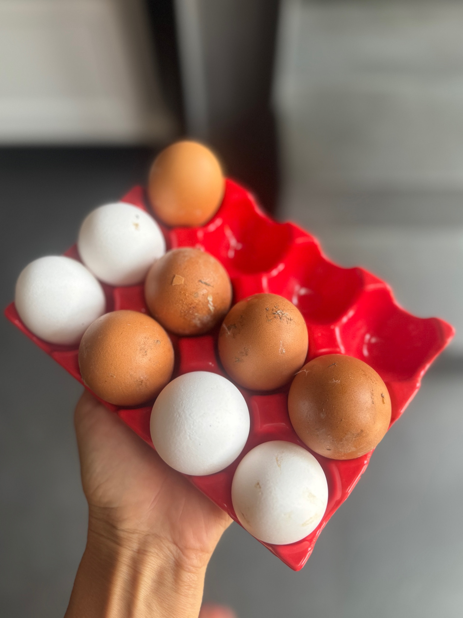 And the 12 cups ceramic egg tray at 23% off! 



#LTKSaleAlert #LTKHome