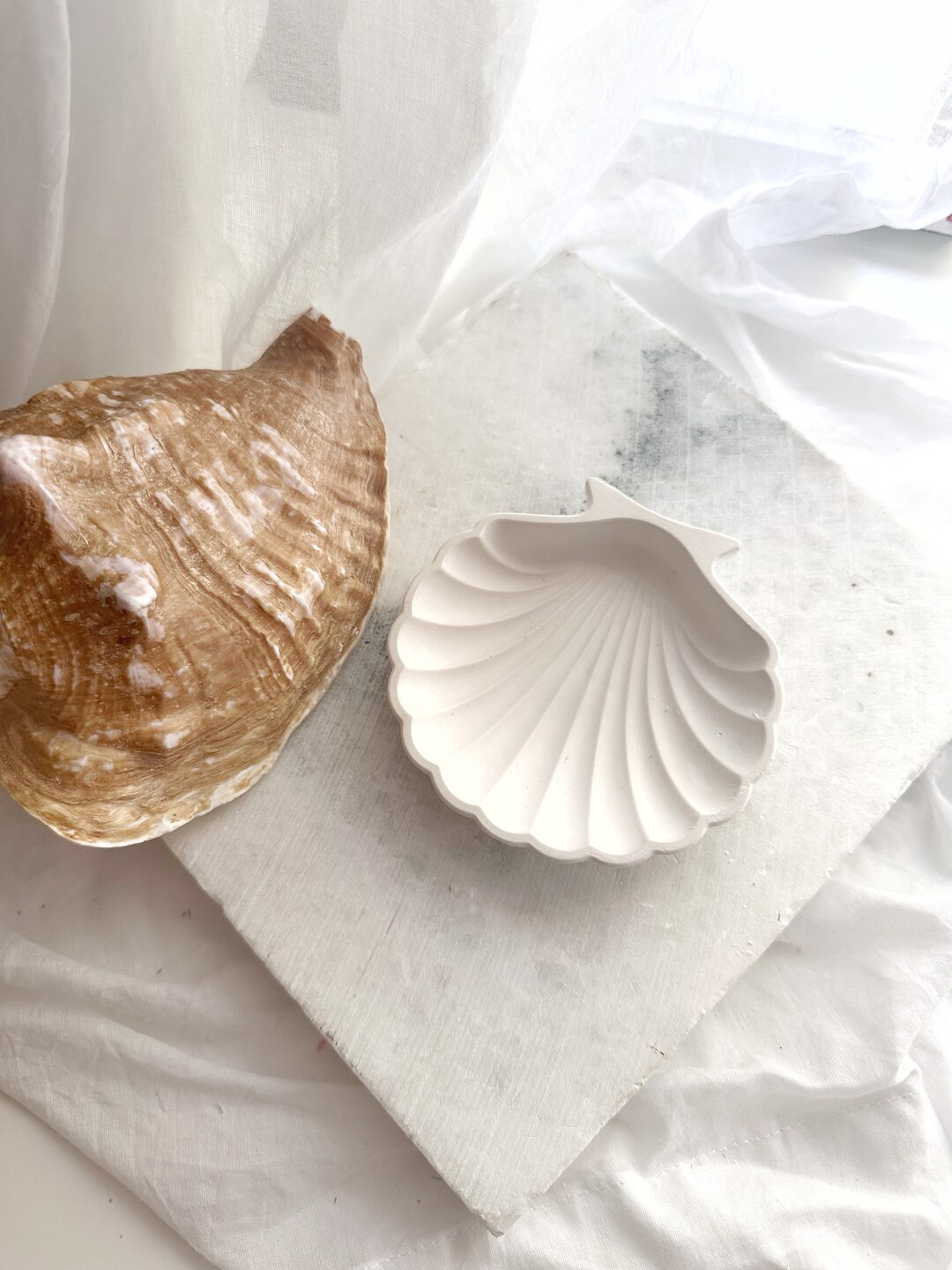 Cement Sea Shell, Concrete Trinket Tray, Beach Candle Holder, Shell Jewelry Dish, Dresser Valet, ... | Etsy (US)