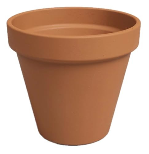 NUEDSXA 10 inch Terracotta Clay Pot with Drainage Hole to Prevent Over Watering | Amazon (US)