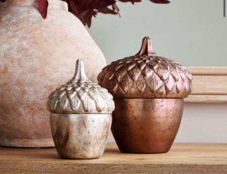 Harvest spice acorn candles from Pottery Barn are perfect fall and autumn decor!  The smell is amazing!  #PB #PotteryBarn #Candles #Fall #FallDecor #Harvest #HarvestSpice #FallCandles 

#LTKSeasonal #LTKsalealert #LTKhome