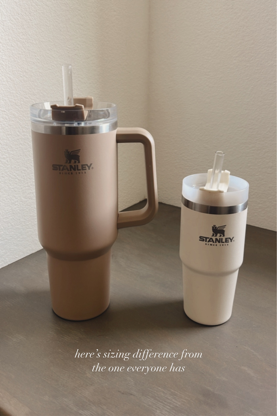 Stanley quencher, gift idea, trending #StylinbyAylin 

#LTKSeasonal #LTKunder100 #LTKunder50